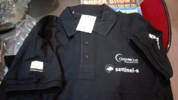 Polo Copernicus Sentinel 6 EASA