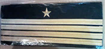 Gradi pilota civile 4 strisce + stella (paio) 28 cm